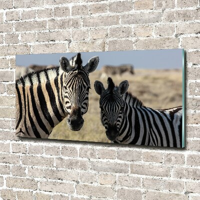 Acrylbild Fotodruck Zwei Zebras