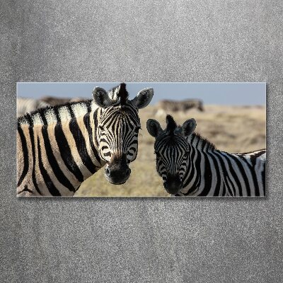 Acrylbild Fotodruck Zwei Zebras