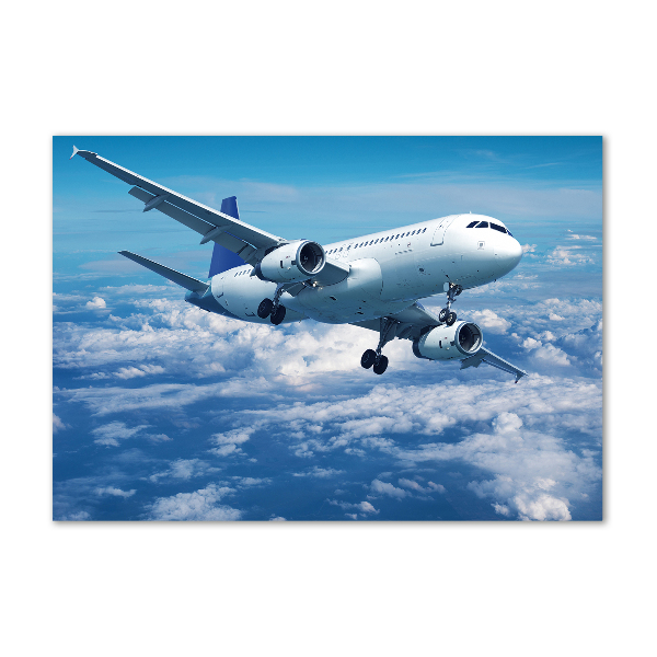 Acrylglas-Druck Ein Flugzeug in den Wolken
