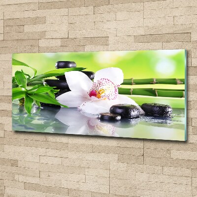 Acrylbild Fotodruck Orchidee