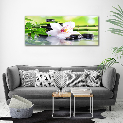 Acrylbild Fotodruck Orchidee