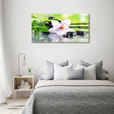 Acrylbild Fotodruck Orchidee