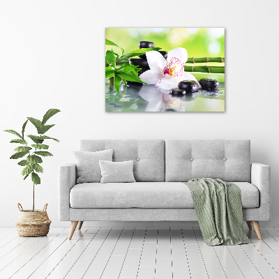 Acrylbild Fotodruck Orchidee