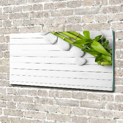 Acrylglas-Druck Bambus