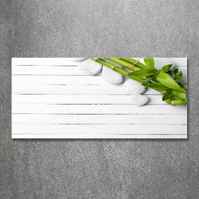 Acrylglas-Druck Bambus