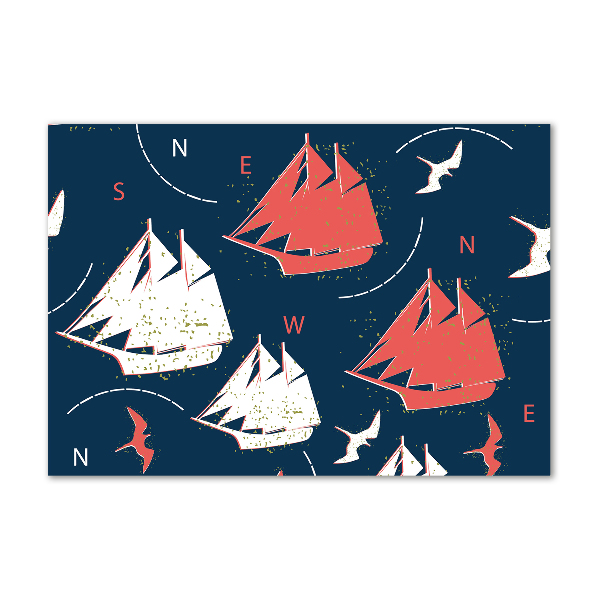 Acrylglas-Druck Schiffe Seevögel