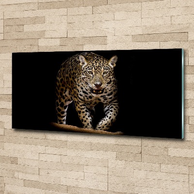 Foto auf Acryl Jaguar
