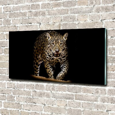 Foto auf Acryl Jaguar