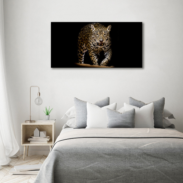 Foto auf Acryl Jaguar