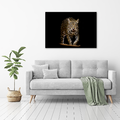 Foto auf Acryl Jaguar