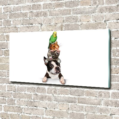 Bild auf Acrylglas Eine Gruppe von Tieren