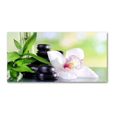 Foto auf Acryl Orchidee