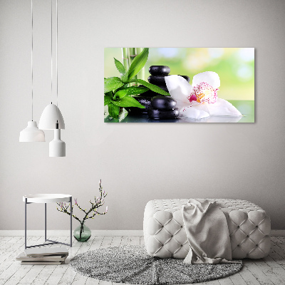 Foto auf Acryl Orchidee