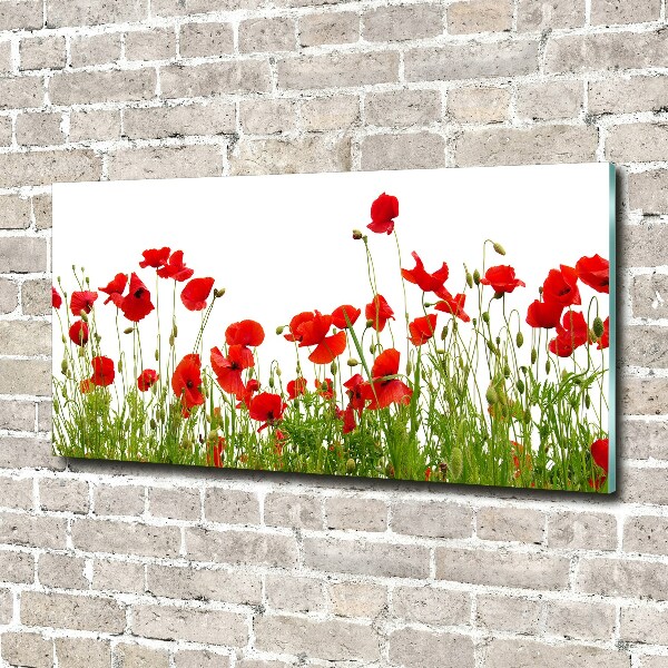 Bild auf Acrylglas Mohnblumen