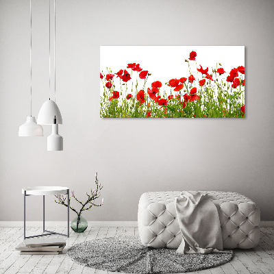 Bild auf Acrylglas Mohnblumen