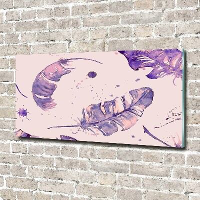 Foto auf Acryl Federn