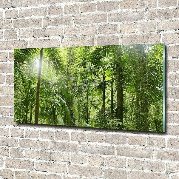Acrylbild Fotodruck Tropischer Wald