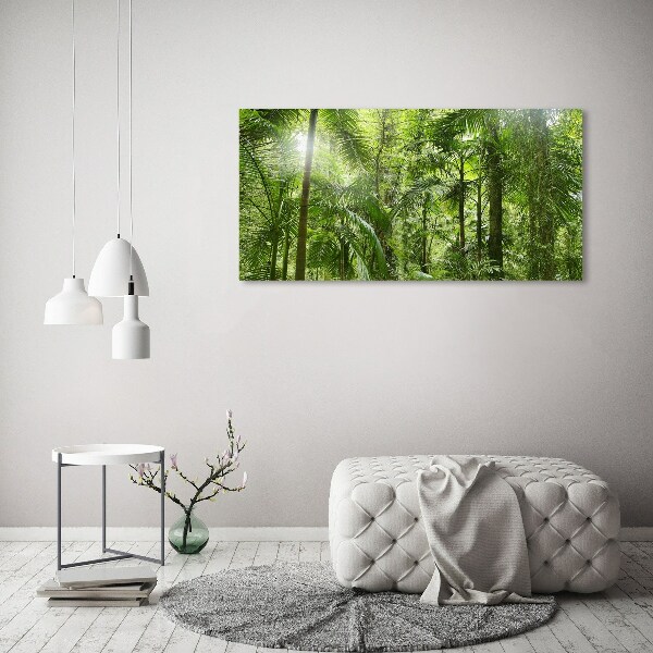 Acrylbild Fotodruck Tropischer Wald