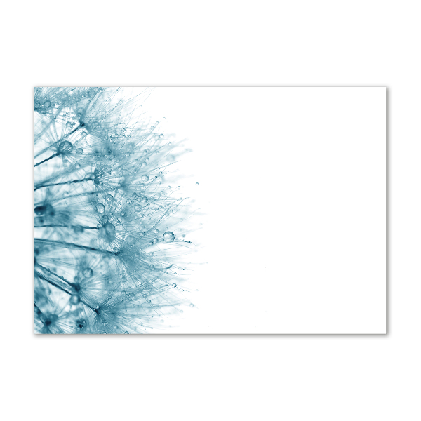 Acrylglas-Druck Löwenzahn