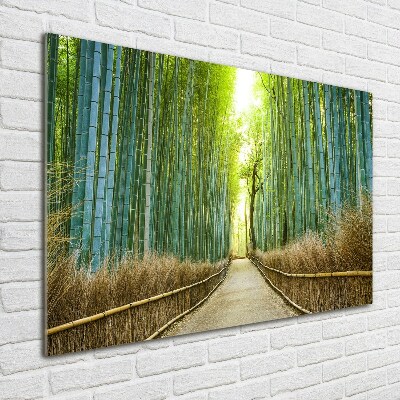 Bild auf Acrylglas Bambuswald