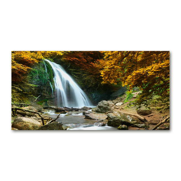 Acrylbild Fotodruck Wasserfall im Wald