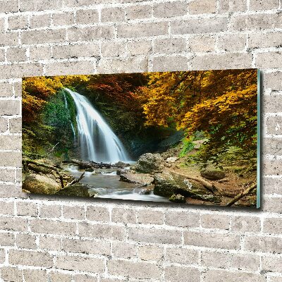 Acrylbild Fotodruck Wasserfall im Wald