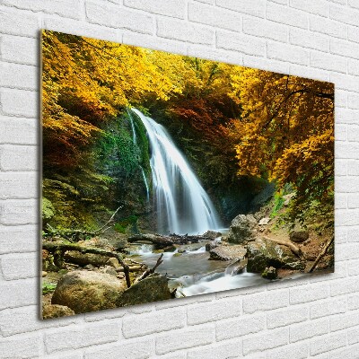 Acrylbild Fotodruck Wasserfall im Wald