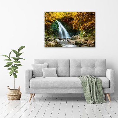 Acrylbild Fotodruck Wasserfall im Wald