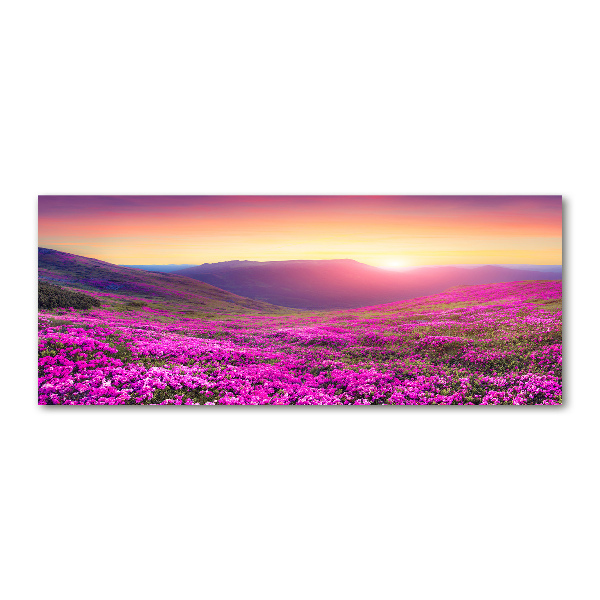 Acrylglas-Druck Pink Hills