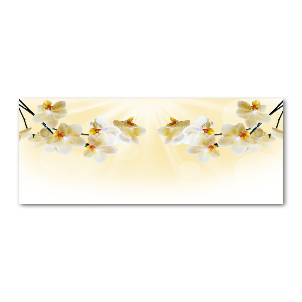 Acrylglas-Druck Orchidee