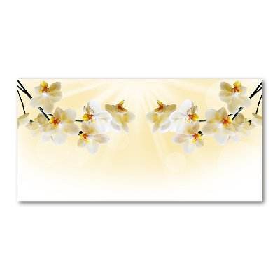 Acrylglas-Druck Orchidee