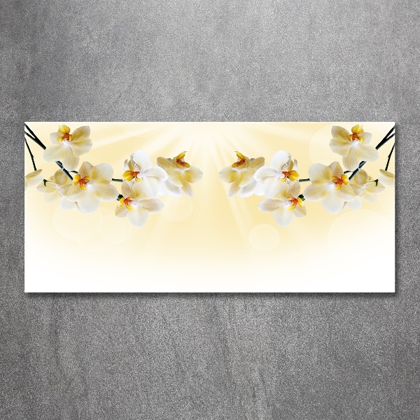 Acrylglas-Druck Orchidee