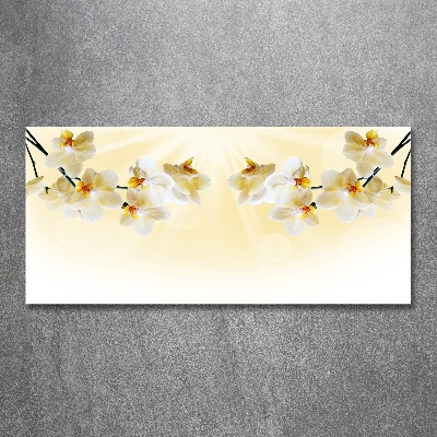 Acrylglas-Druck Orchidee