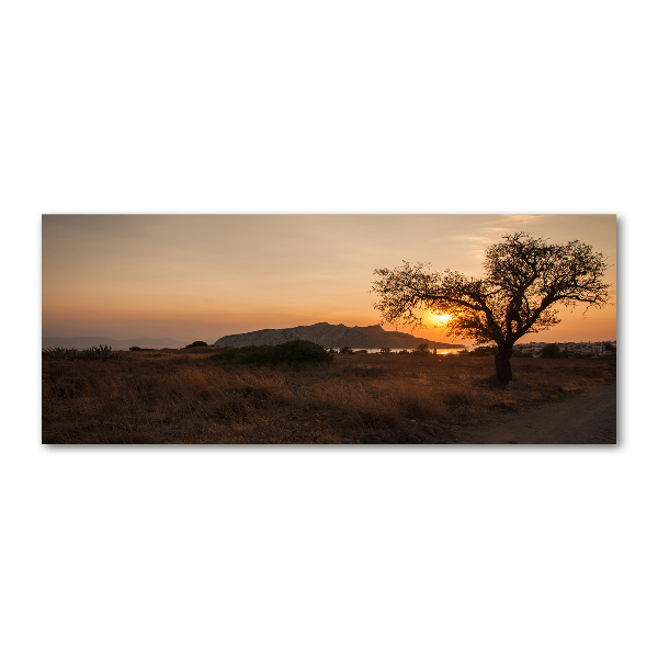 Bild auf Acrylglas Sonnenuntergang