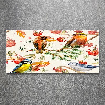 Acrylbild Fotodruck Nadelbäume und Vögel