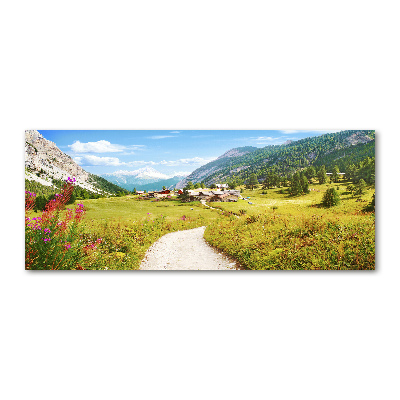 Acrylglas-Druck Weide in den Alpen