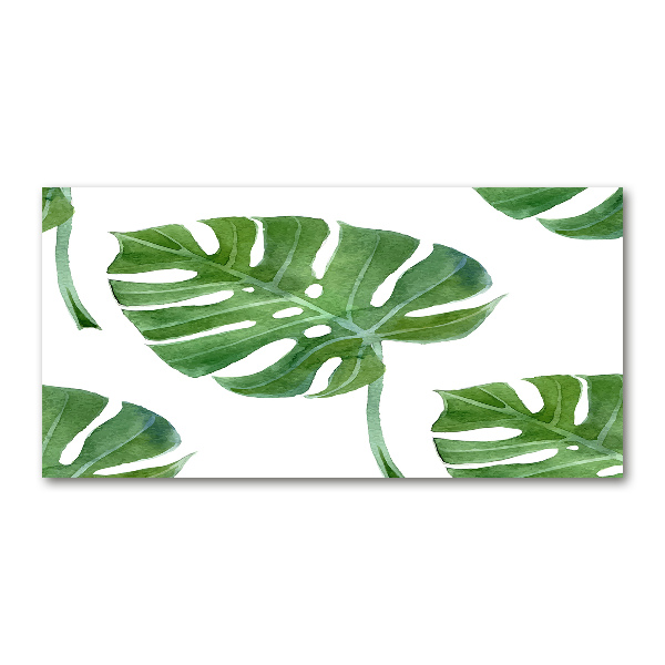 Acrylglas-Druck Monstera