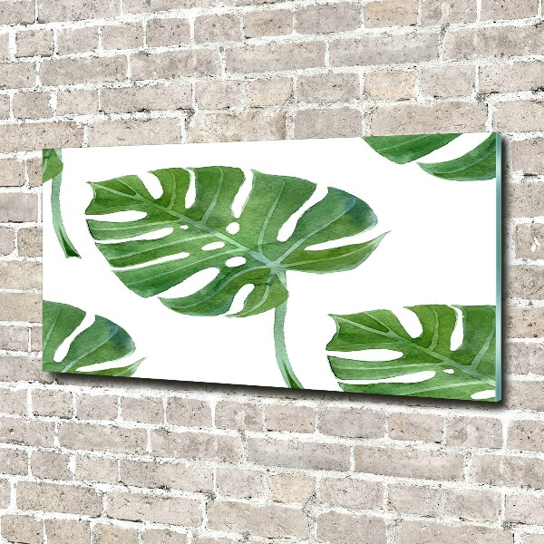 Acrylglas-Druck Monstera