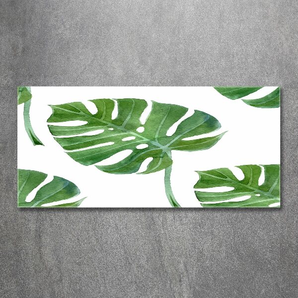Acrylglas-Druck Monstera