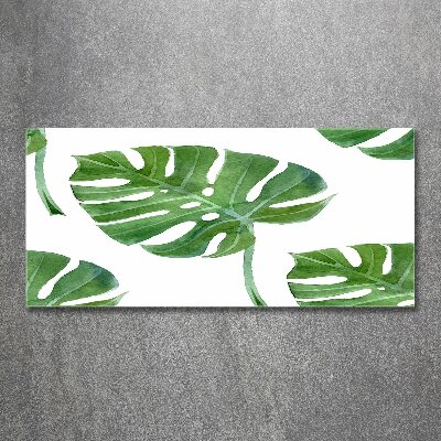 Acrylglas-Druck Monstera