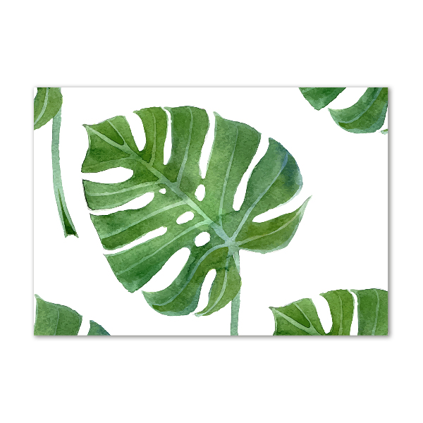 Acrylglas-Druck Monstera