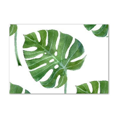 Acrylglas-Druck Monstera