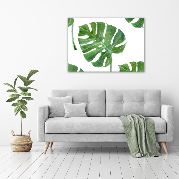 Acrylglas-Druck Monstera