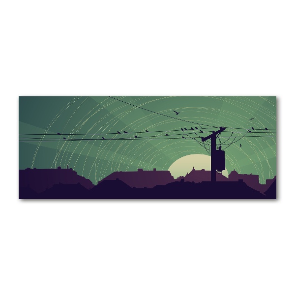 Foto auf Acryl Vogelstadt