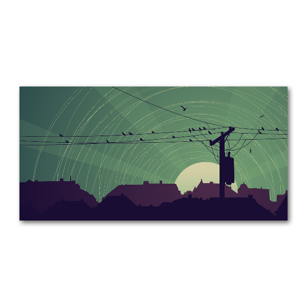 Foto auf Acryl Vogelstadt