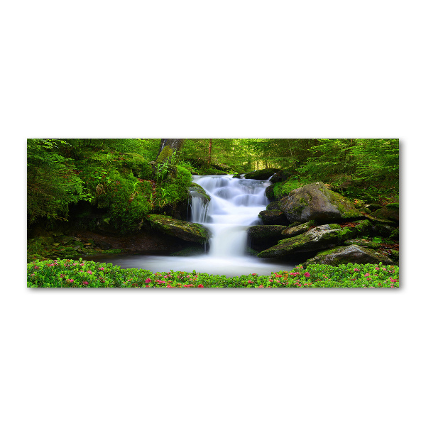 Acrylglas-Druck Wasserfall im Wald
