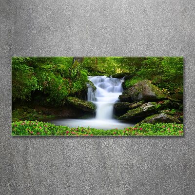 Acrylglas-Druck Wasserfall im Wald