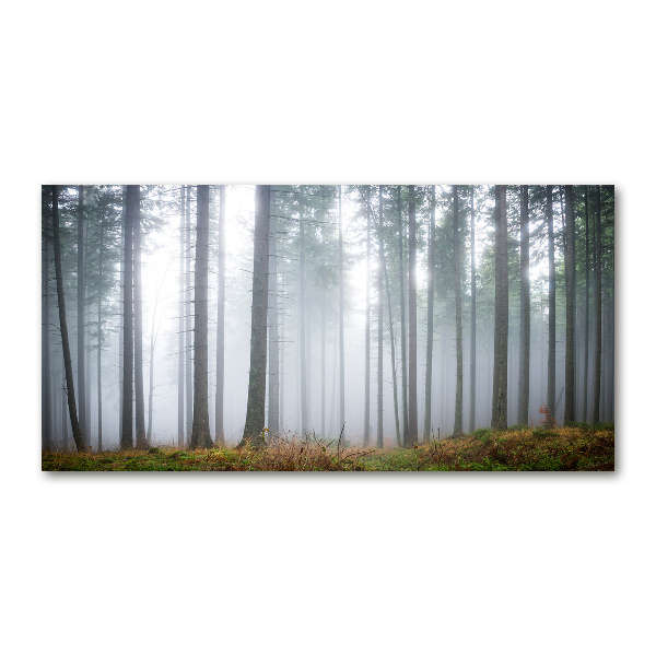 Bild auf Acrylglas Nebel im Wald