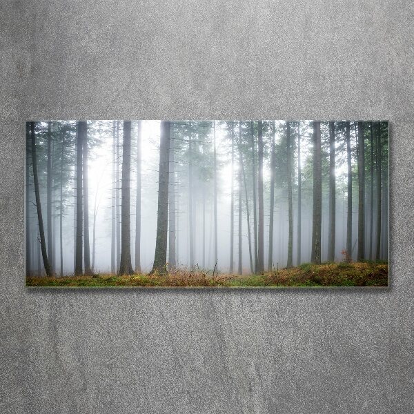 Bild auf Acrylglas Nebel im Wald