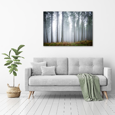 Bild auf Acrylglas Nebel im Wald